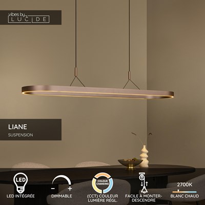 Lucide LIANE - Suspension - LED Dim. - CCT - 2x40W 2700K/4000K - Rouille | Vibes